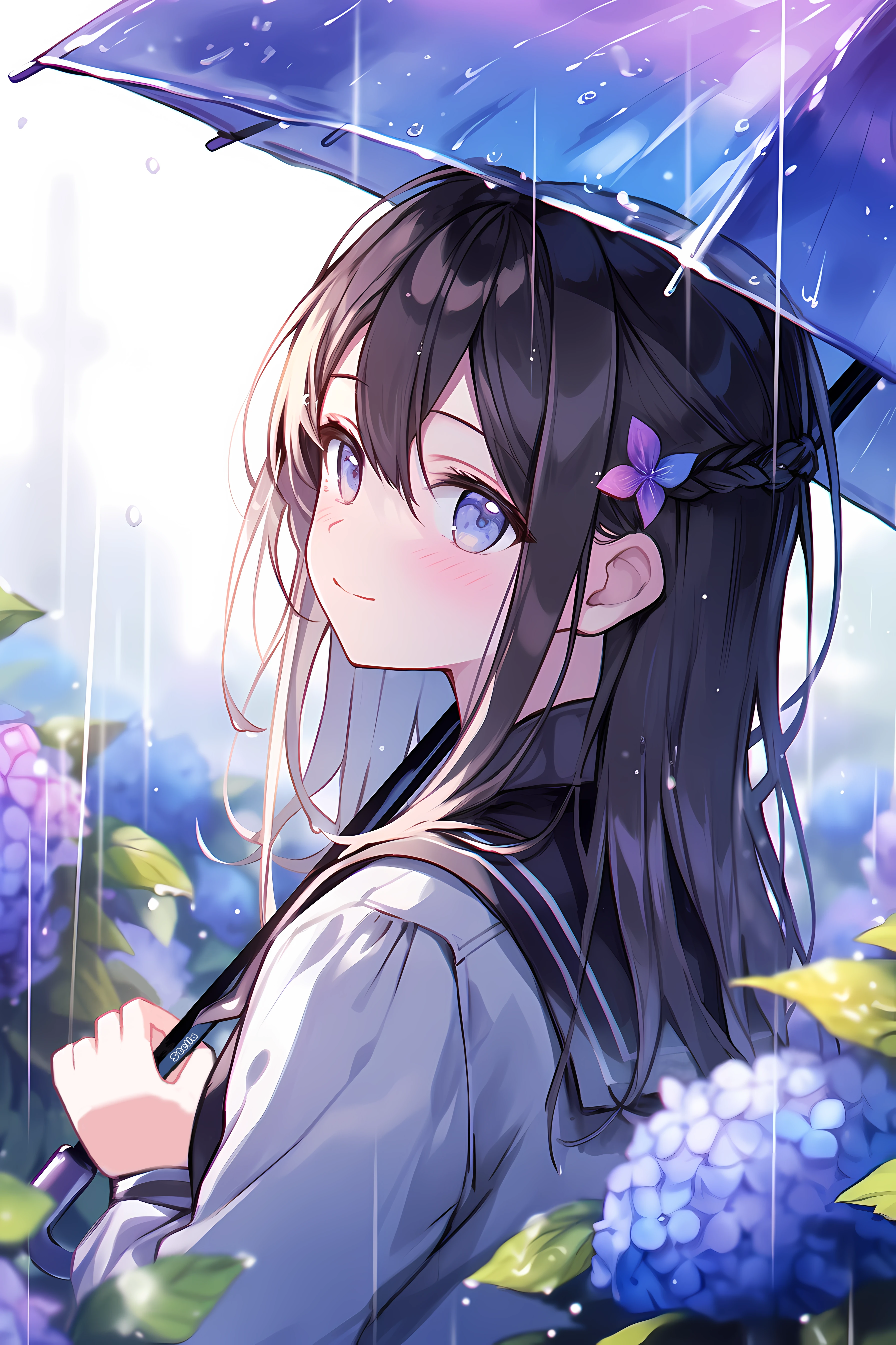 Wallpaper Preview